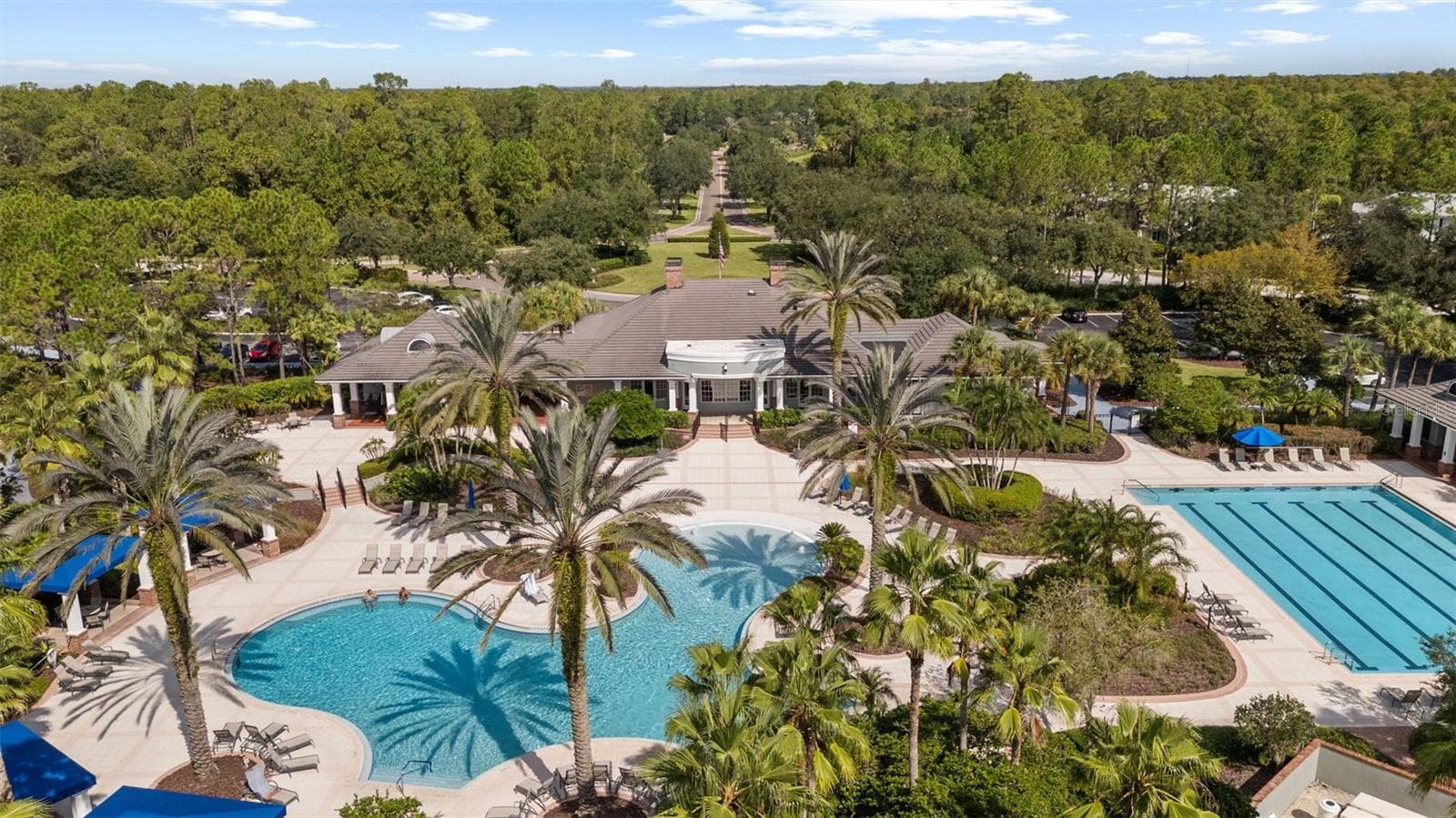 Aerial Of Amenities - 8264 DUNHAM STATION DR, TAMPA