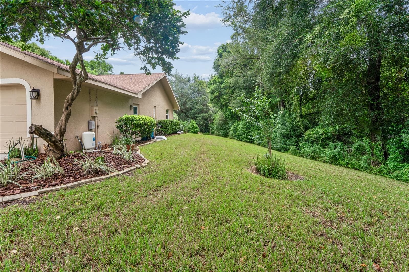 Side Yard - 14433 LINDEN DR, SPRING HILL