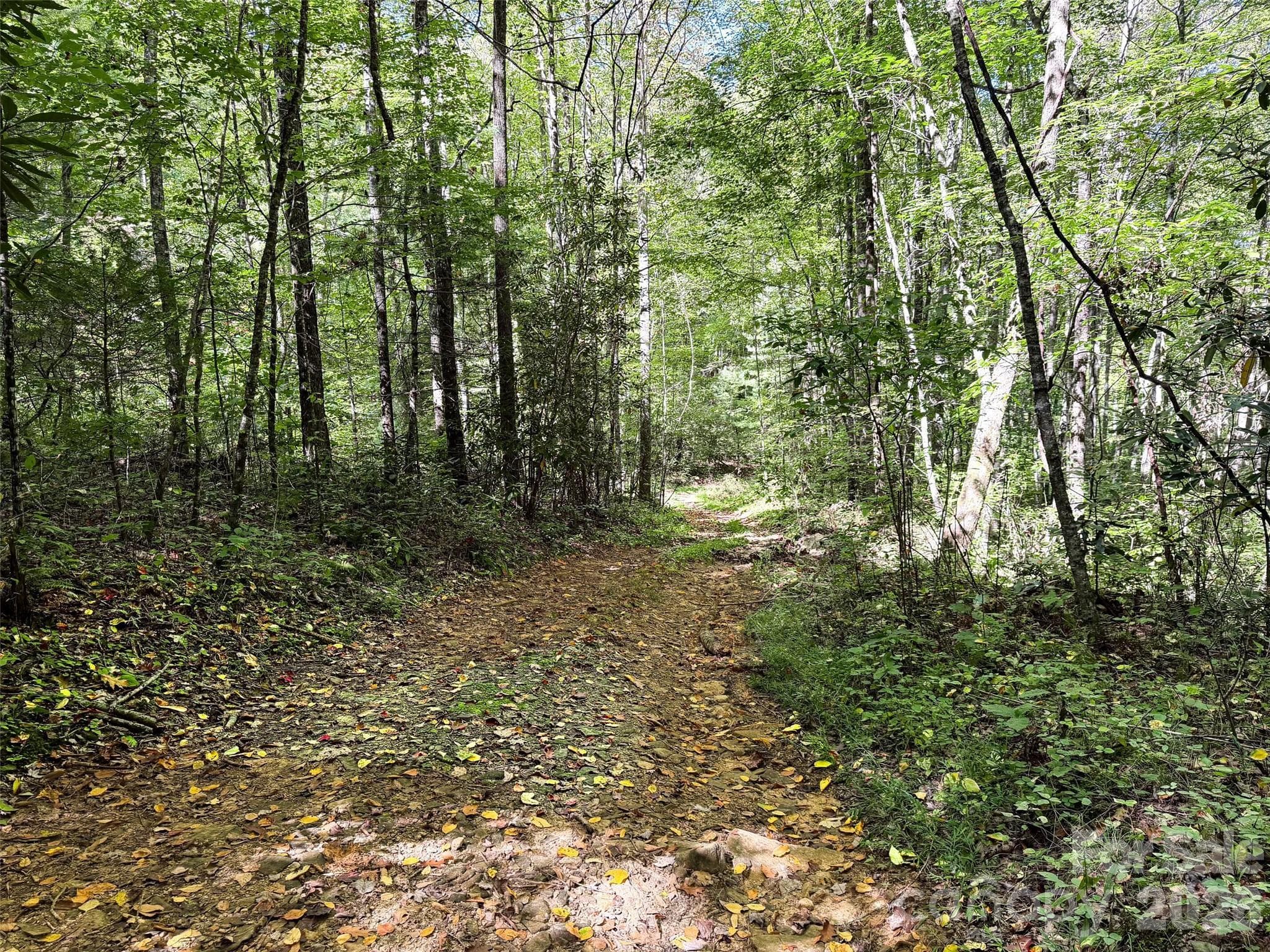 Logging Road on Property - 0 Wiggins Creek Road, Bryson City
