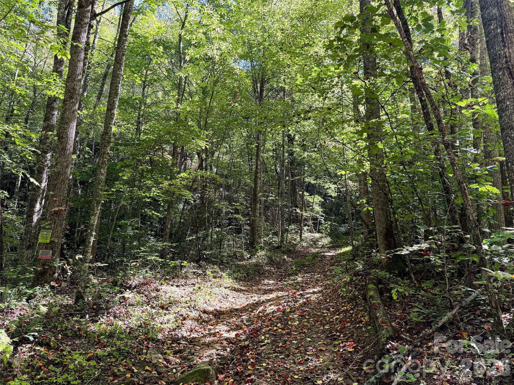 Logging Road on Property - 0 Wiggins Creek Road, Bryson City