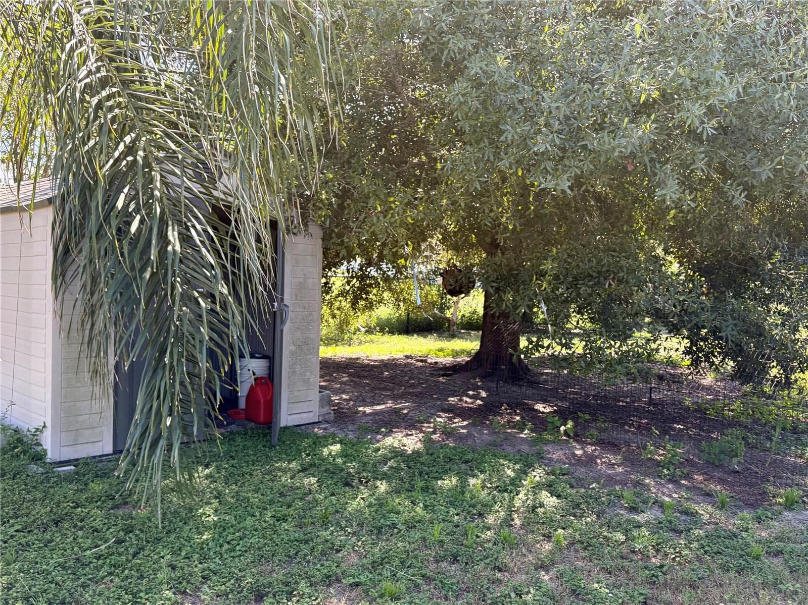 Storage Shed in Rear - 8123 BESSEMER AVE, NORTH PORT