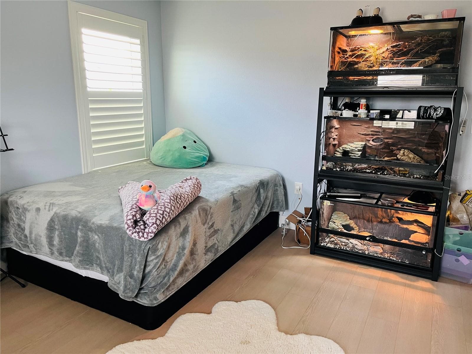 Bedroom 4, North View - 14037 PECAN ORCHARD DR, WINTER GARDEN
