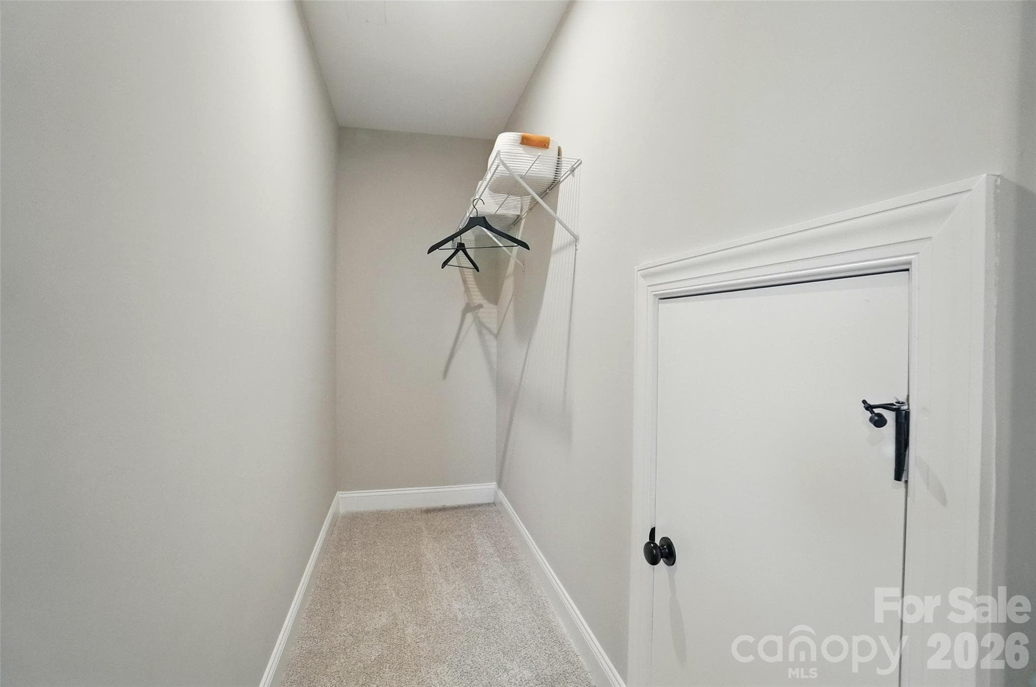 Storage Closet 3rd Floor with Walk in Attic Access - 120029 Lavinia Lane, Charlotte