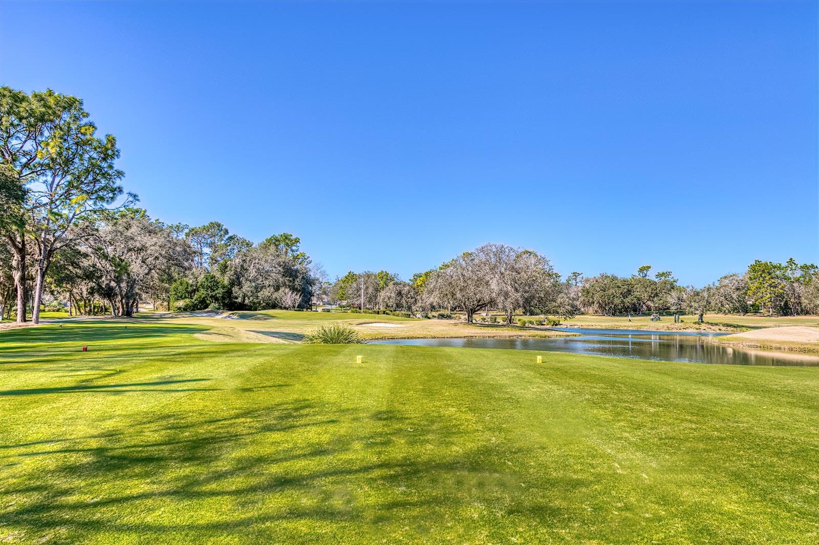 Land at 36 DEERWOOD DR, HOMOSASSA, photo 14 of 21