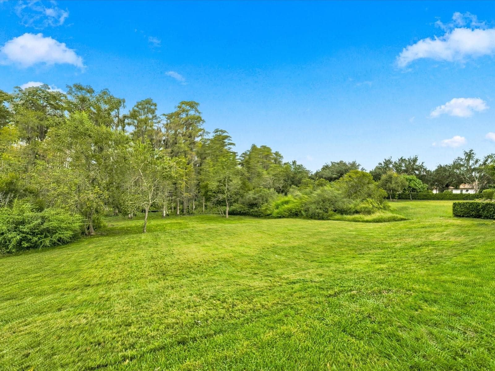 Single Family Residence at 17314 SAN ARINGO PL, LUTZ, photo 25 of 97