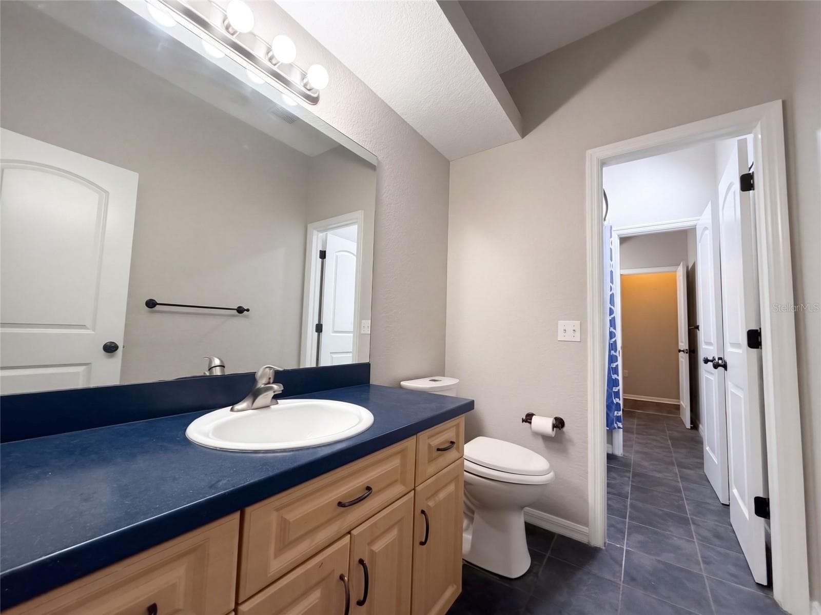 Single Family Residence at 219 WILLOW BEND PKWY, LUTZ, photo 20 of 28