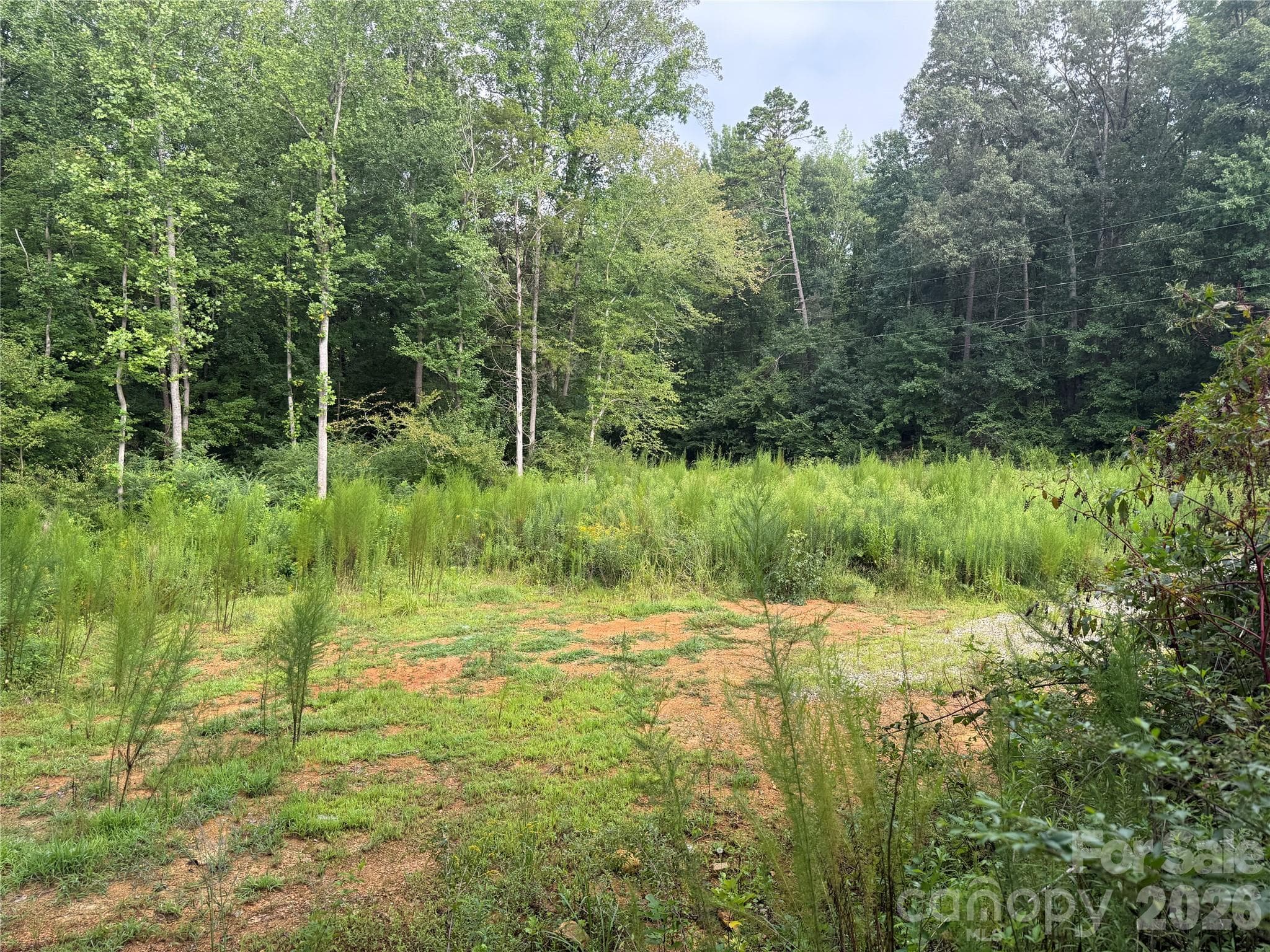 Acreage at TBD Sincerity Road, Monroe, photo 2 of 16