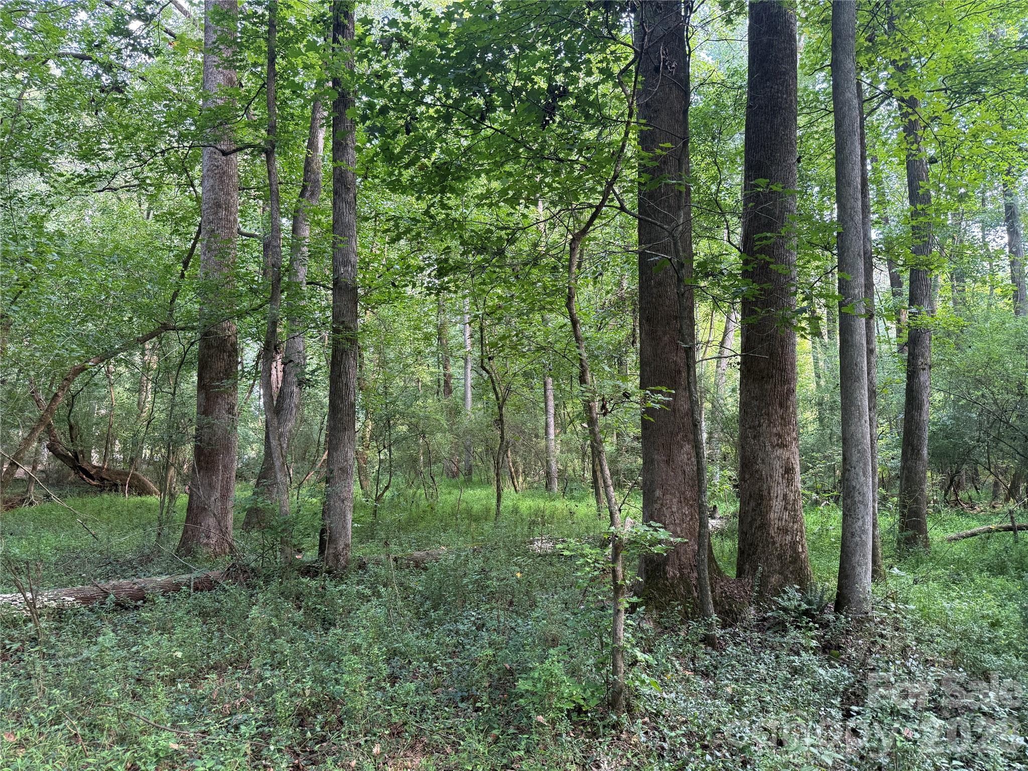 Acreage at TBD Sincerity Road, Monroe, photo 6 of 16