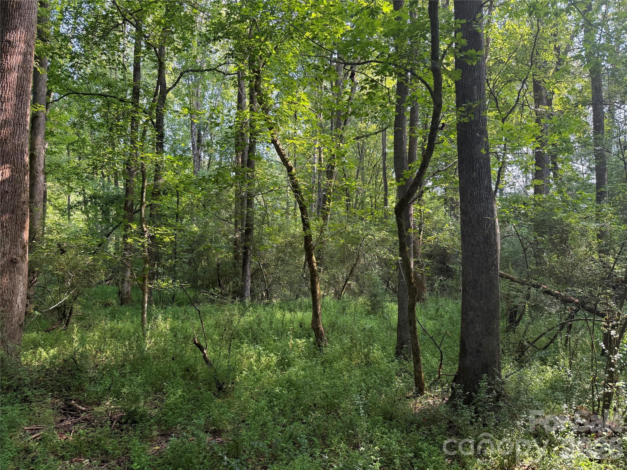 Acreage at TBD Sincerity Road, Monroe, photo 9 of 16