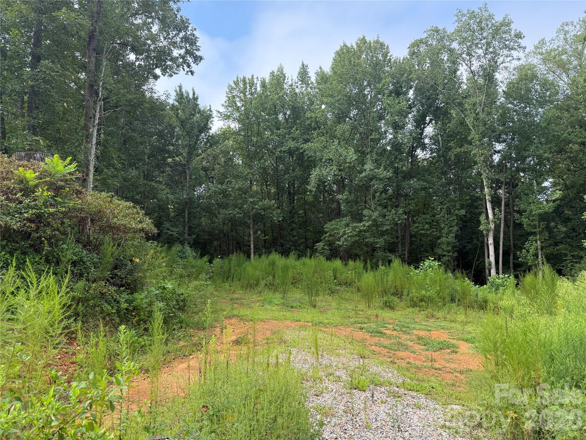 Acreage at TBD Sincerity Road, Monroe, photo 10 of 16