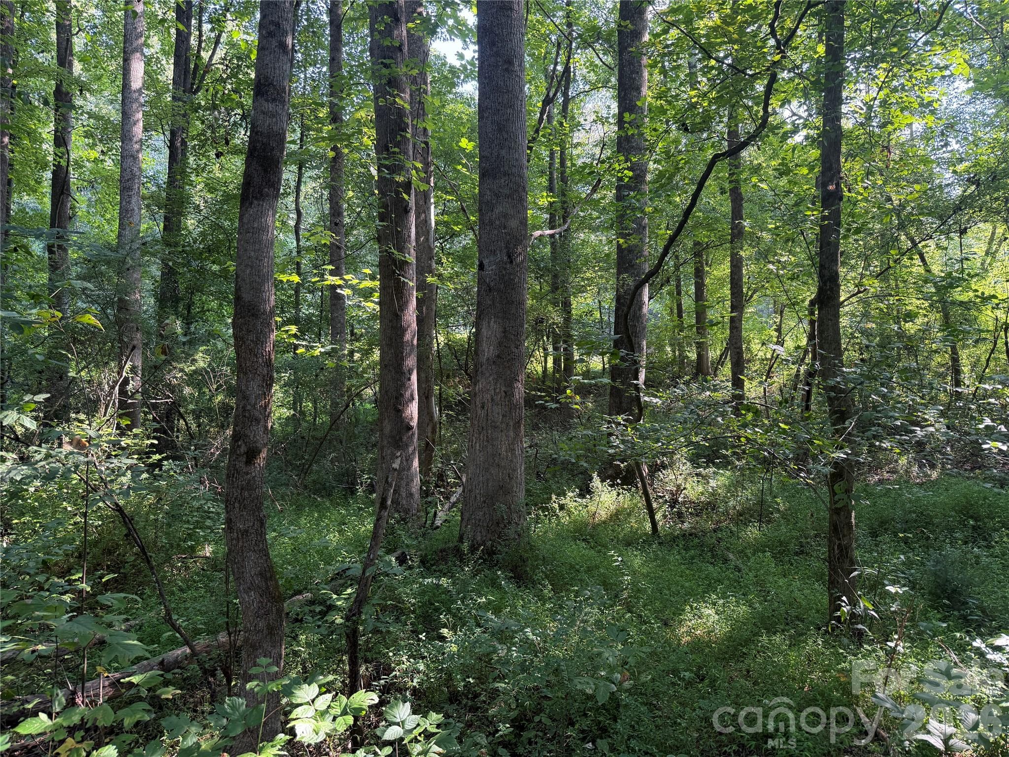 Acreage at TBD Sincerity Road, Monroe, photo 12 of 16