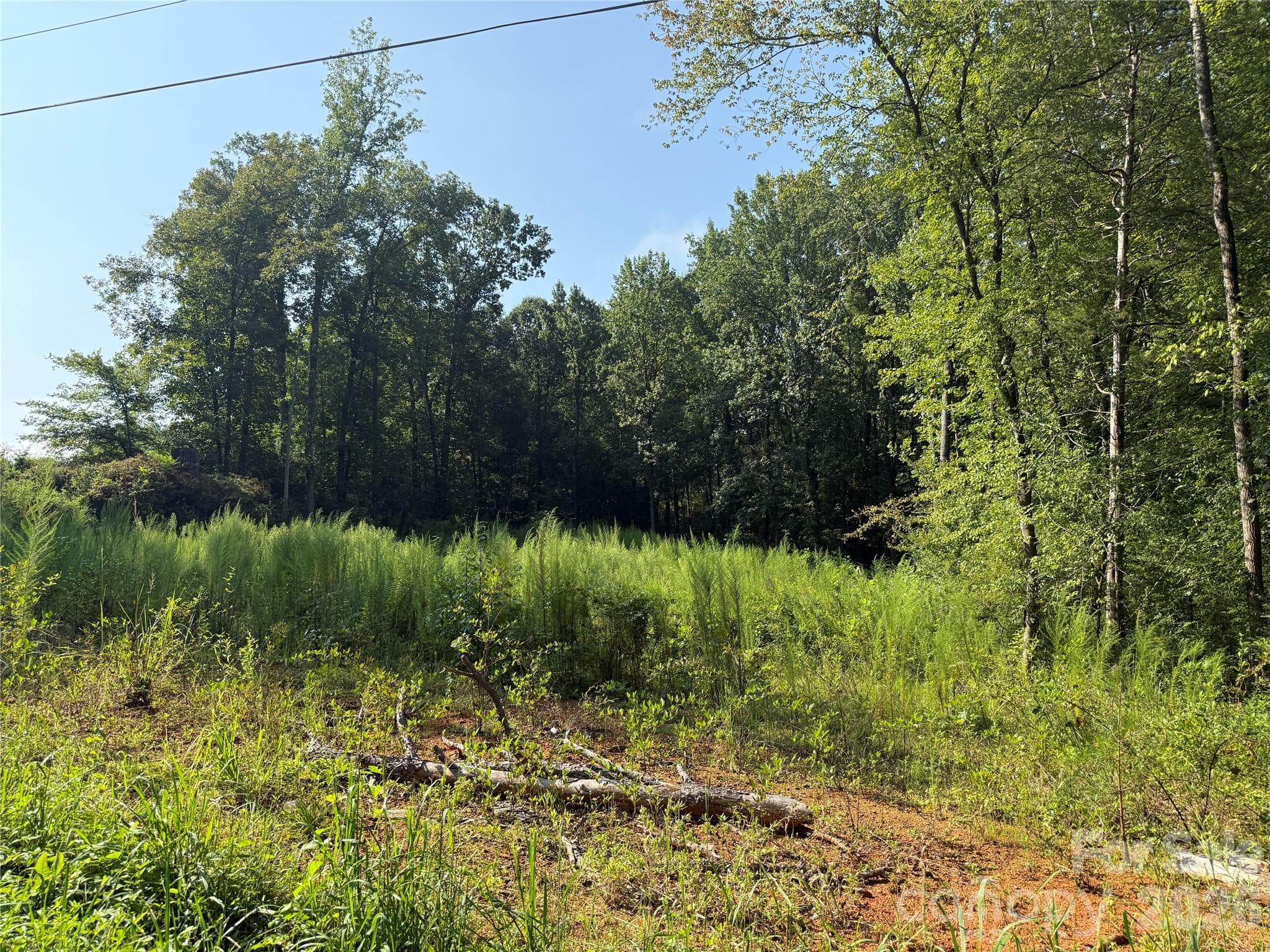 Acreage at TBD Sincerity Road, Monroe, photo 16 of 16