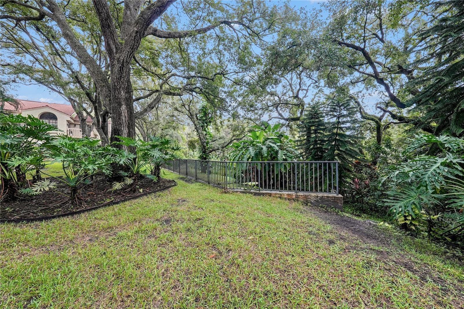 Lots of nature in the community - 203 LOS PRADOS DR #1322, SAFETY HARBOR