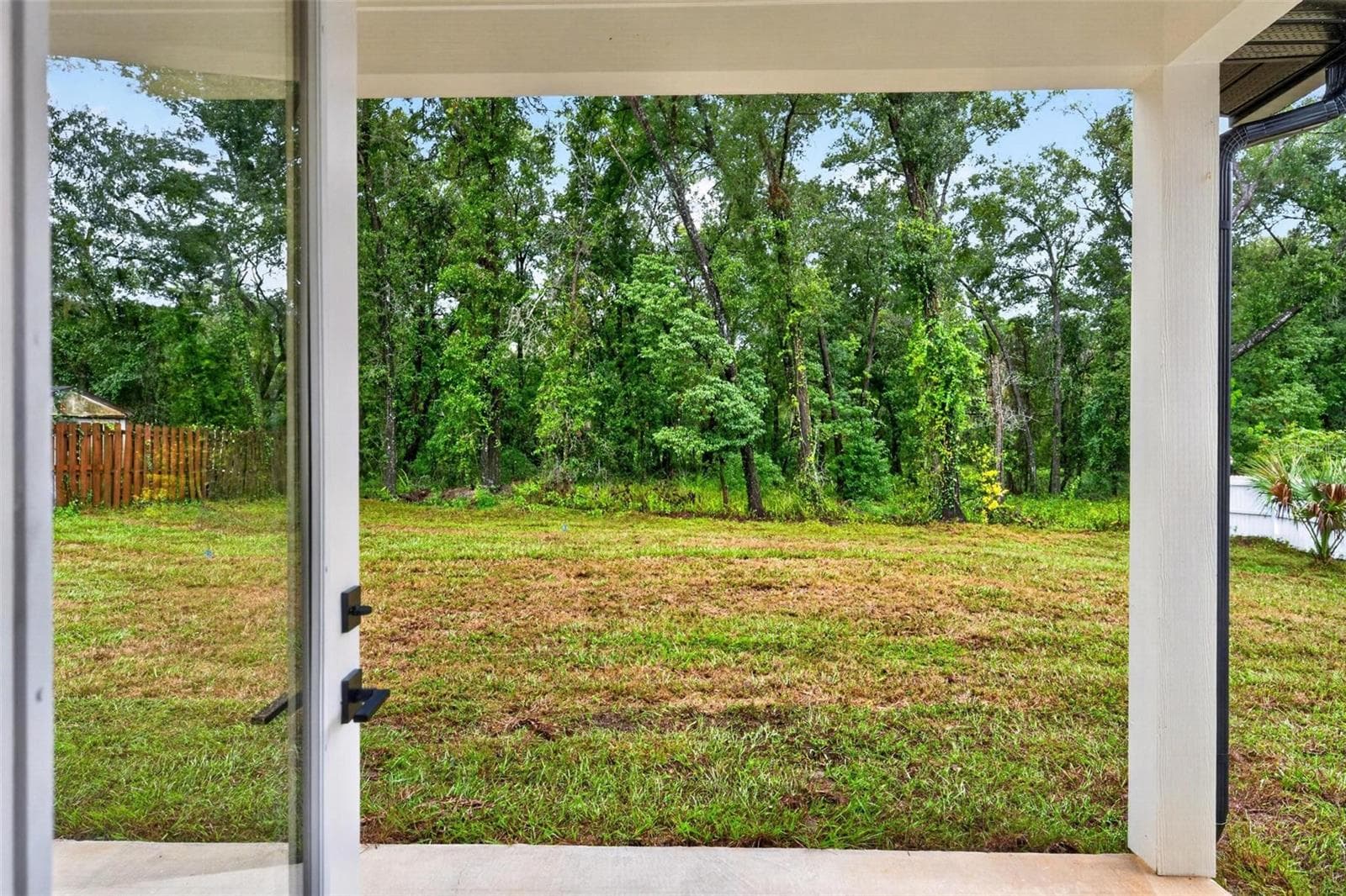 Backyard - 381 CARRIAGE LN, LADY LAKE