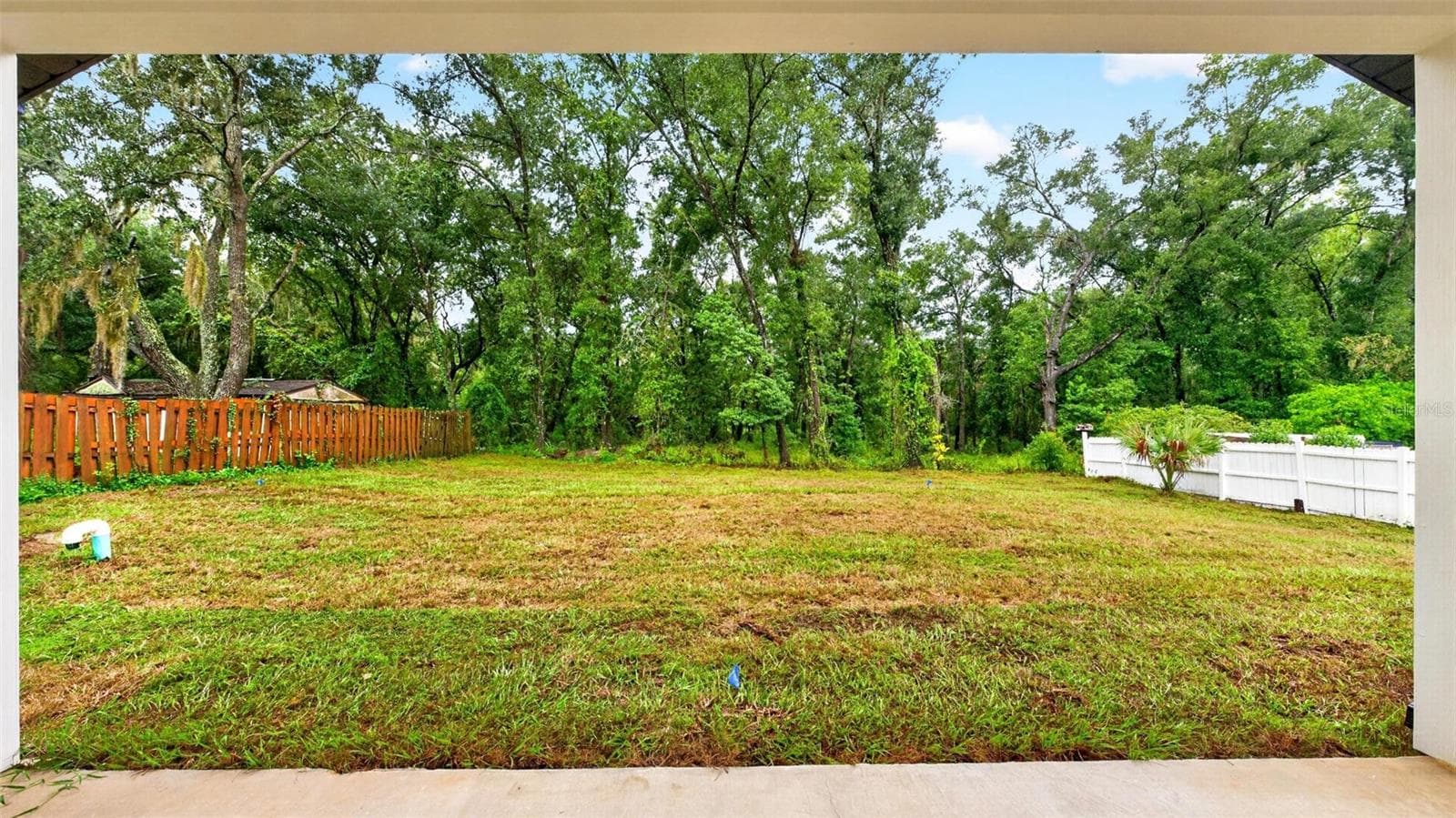 Backyard - 381 CARRIAGE LN, LADY LAKE