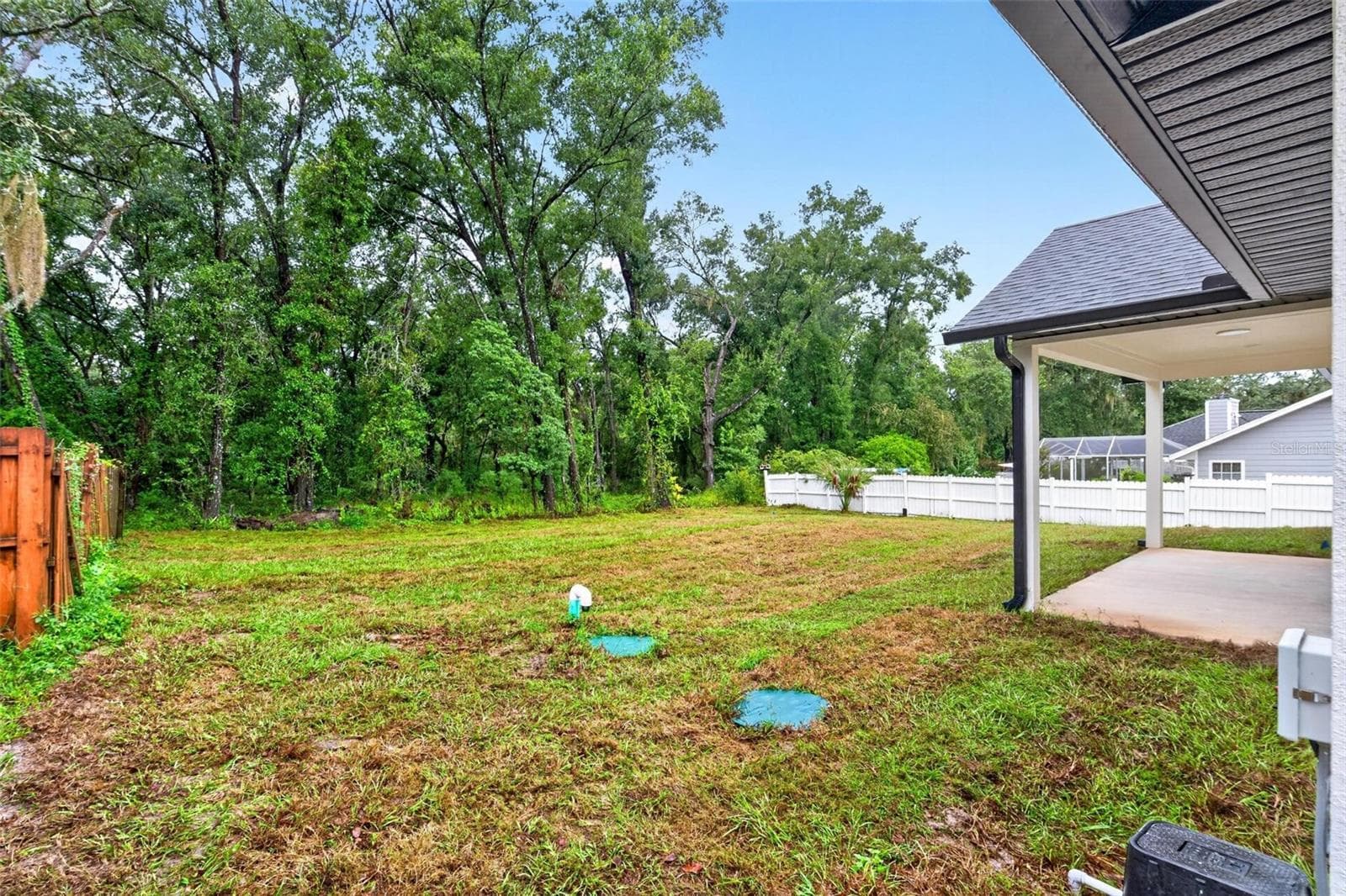 Backyard - 381 CARRIAGE LN, LADY LAKE