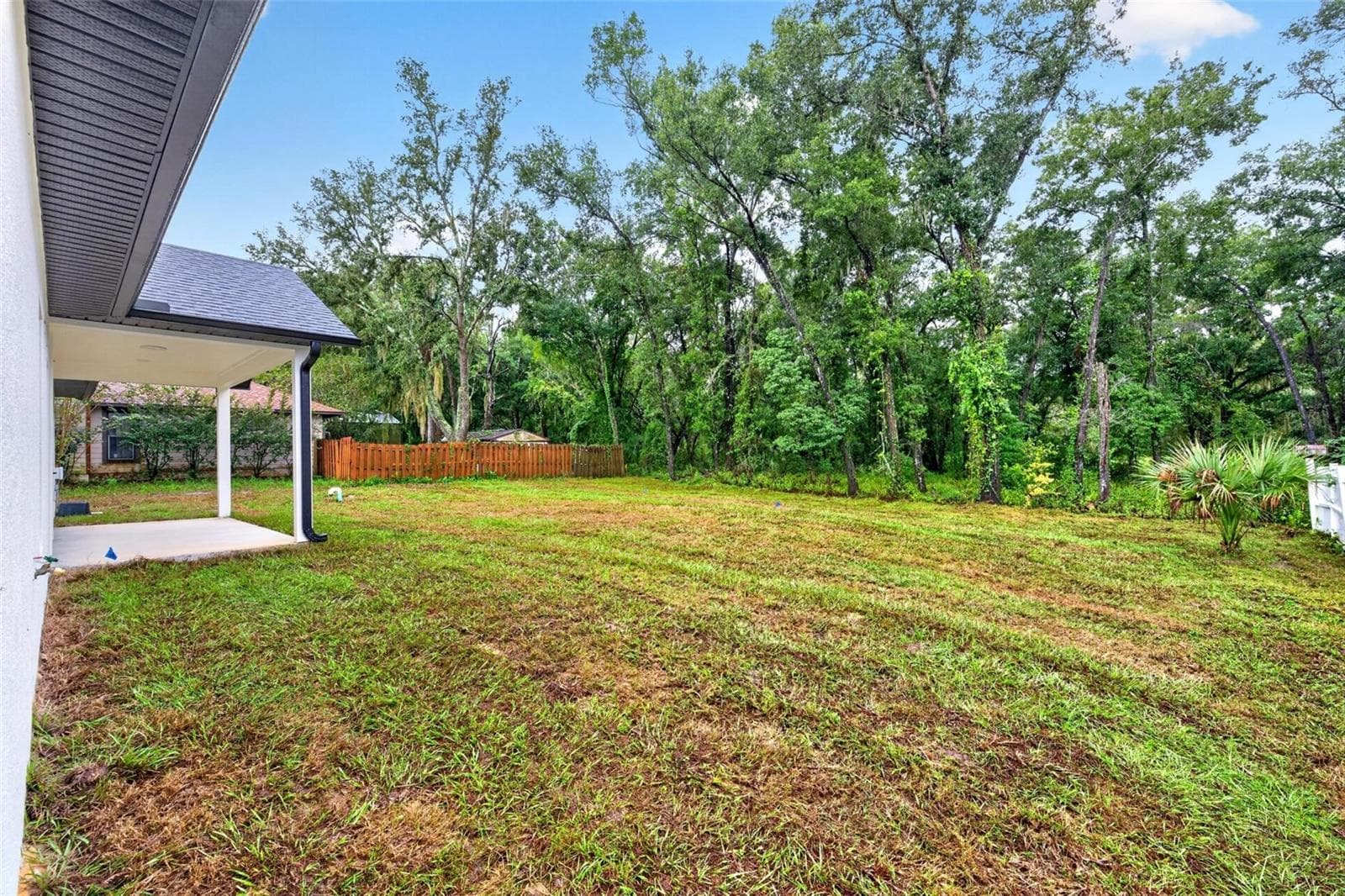 Backyard. - 381 CARRIAGE LN, LADY LAKE