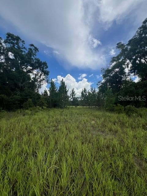 Land at US HWY 441, HIGH SPRINGS, photo 4 of 8