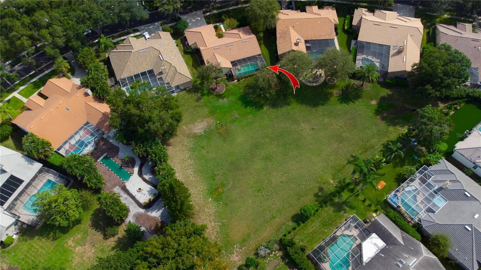 LARGE OPEN AREA BEHIND HOME - 2194 PINNACLE CIR N, PALM HARBOR