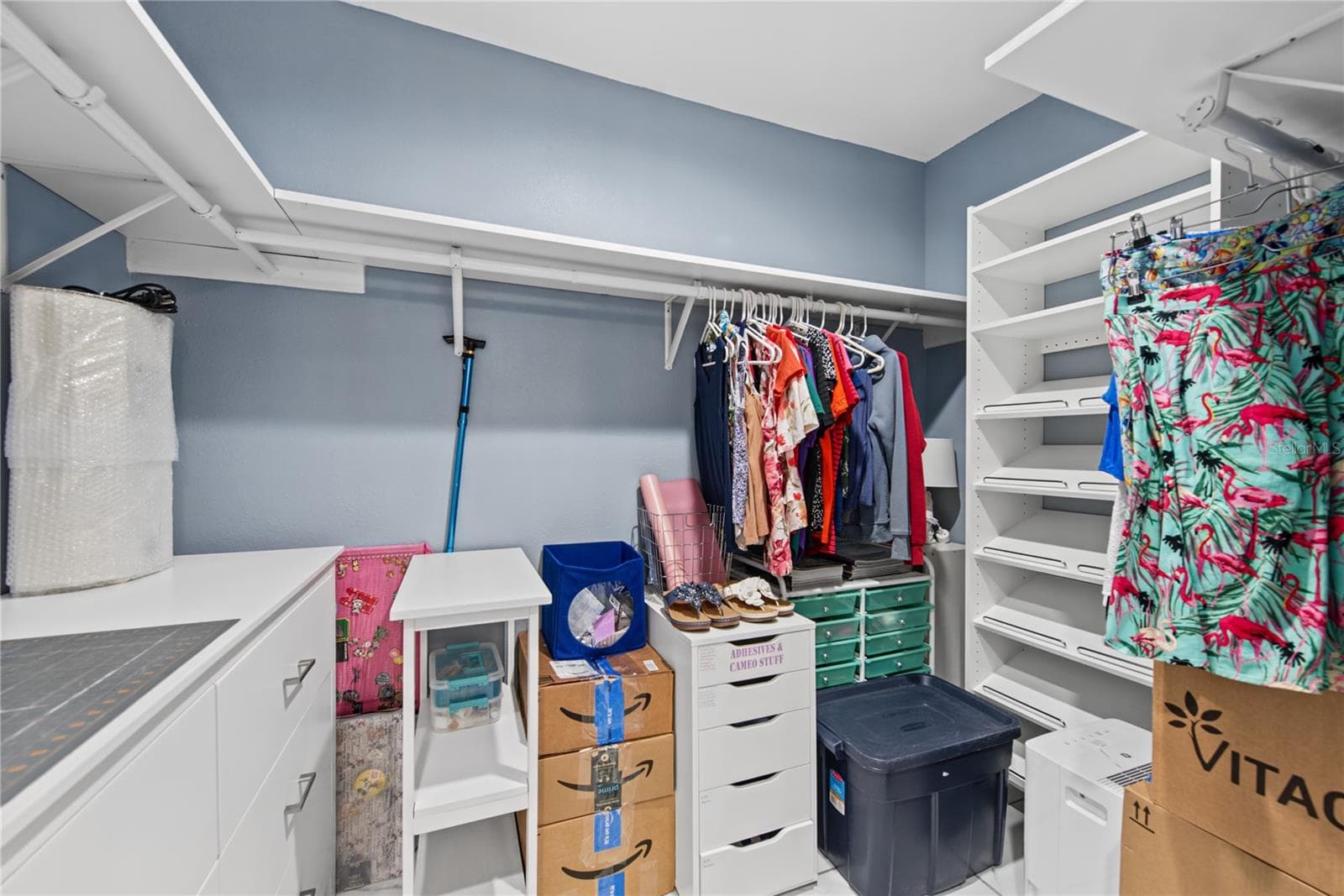 PRIMARY BATHROOM WALK-IN CLOSET, ONE OF TWO - 2194 PINNACLE CIR N, PALM HARBOR
