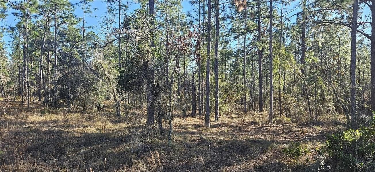 Land at Lot 13 NW Water Oak AVE, DUNNELLON FL 34431, Dunnellon