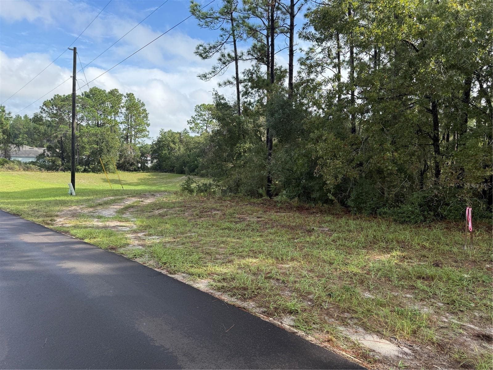 Land at TBD SW 139TH LANE ROAD #12, OCALA, photo 2 of 4
