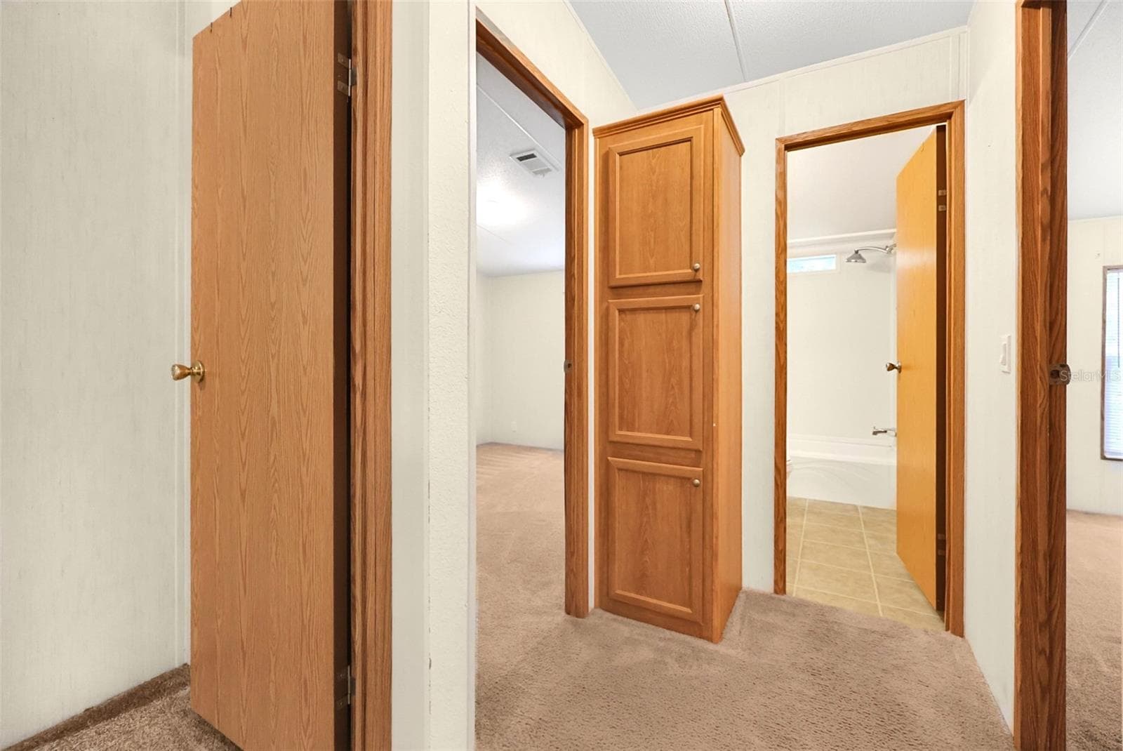 Hall to secondary bedrooms - 16145 SE 56TH PLACE RD, OCKLAWAHA