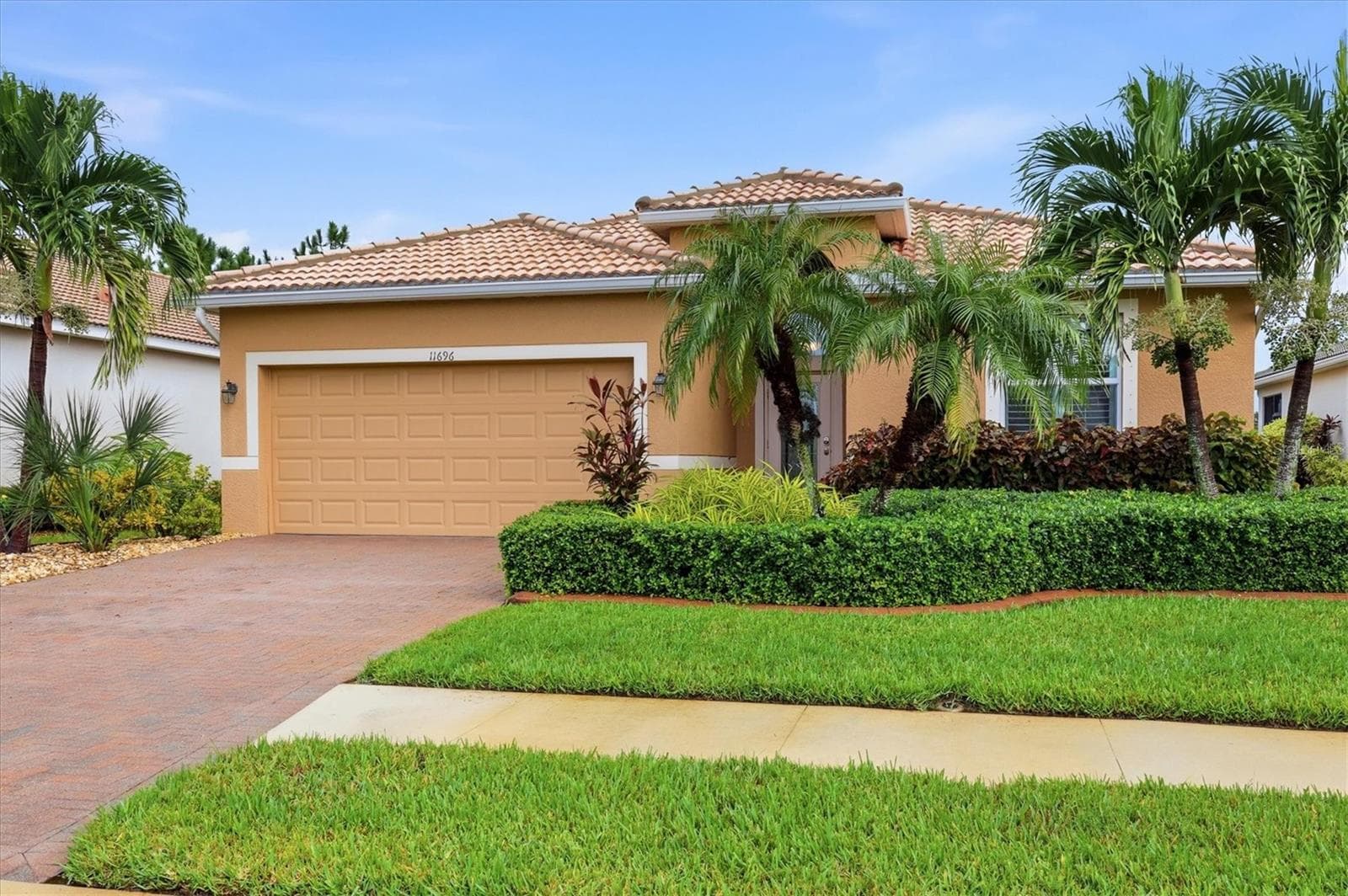 11696 SPOTTED MARGAY AVE