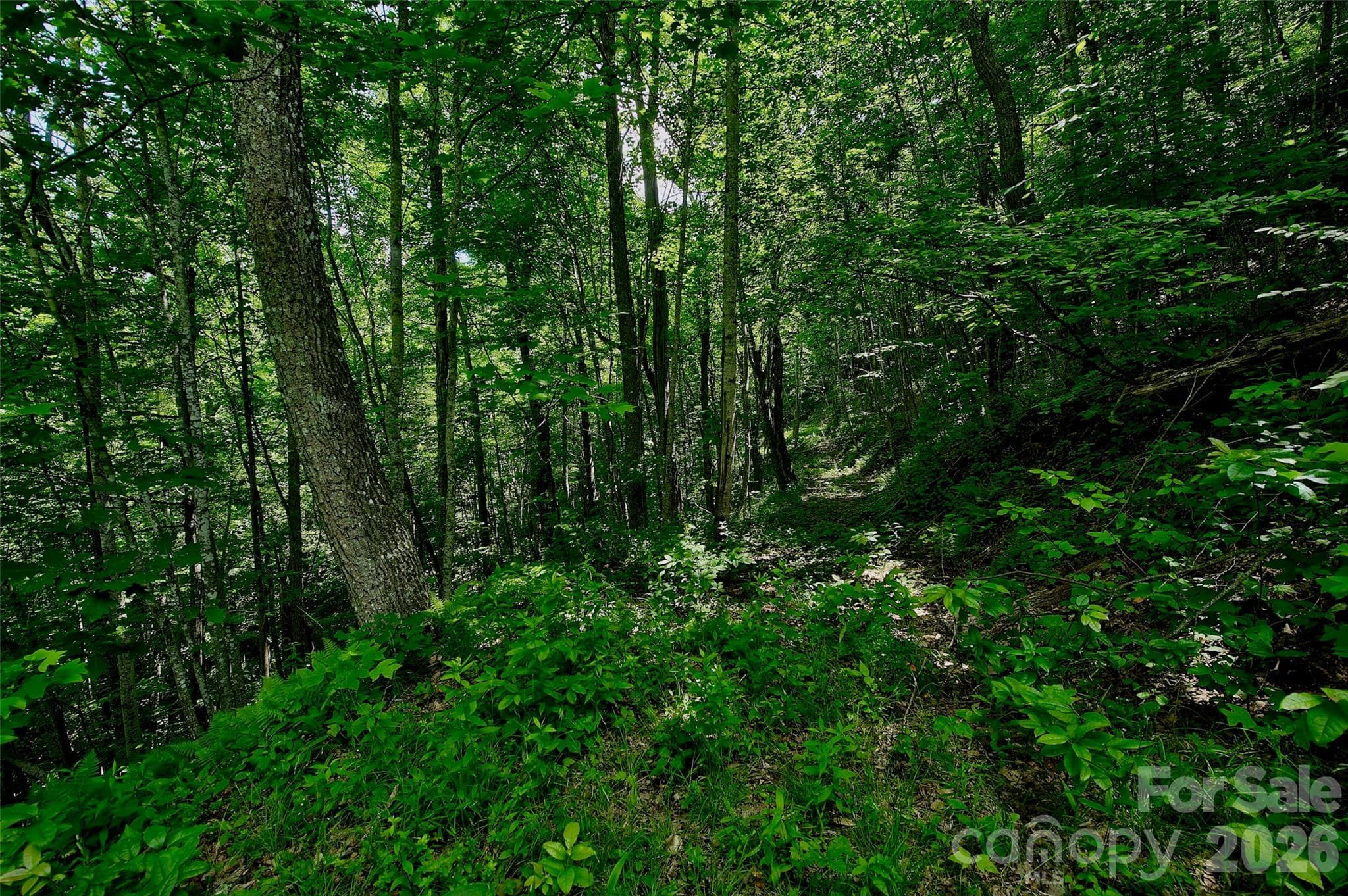 Acreage at 00 Arrowhead Ridge Road, Spruce Pine, photo 20 of 31