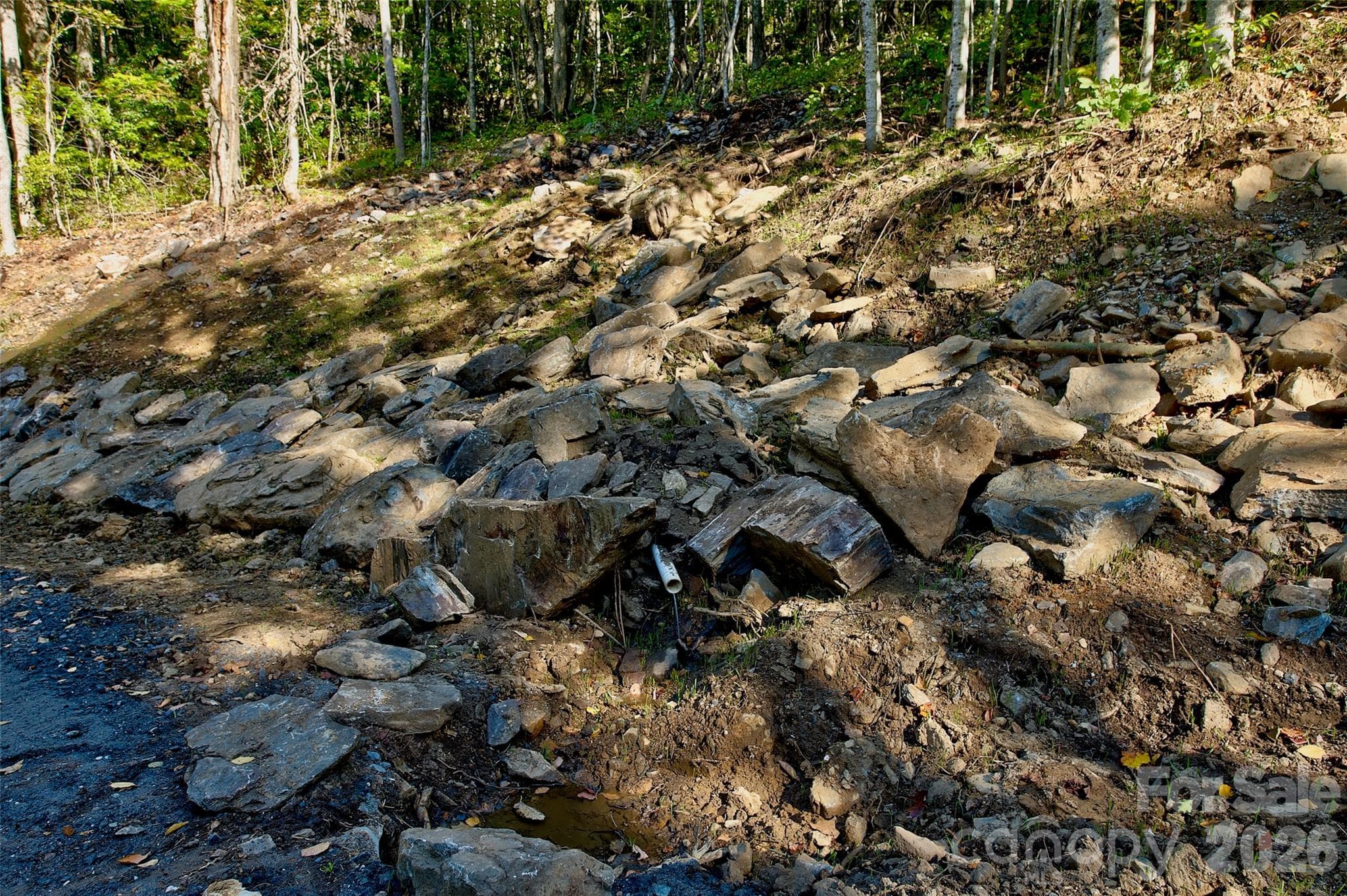 Acreage at 00 Arrowhead Ridge Road, Spruce Pine, photo 28 of 31
