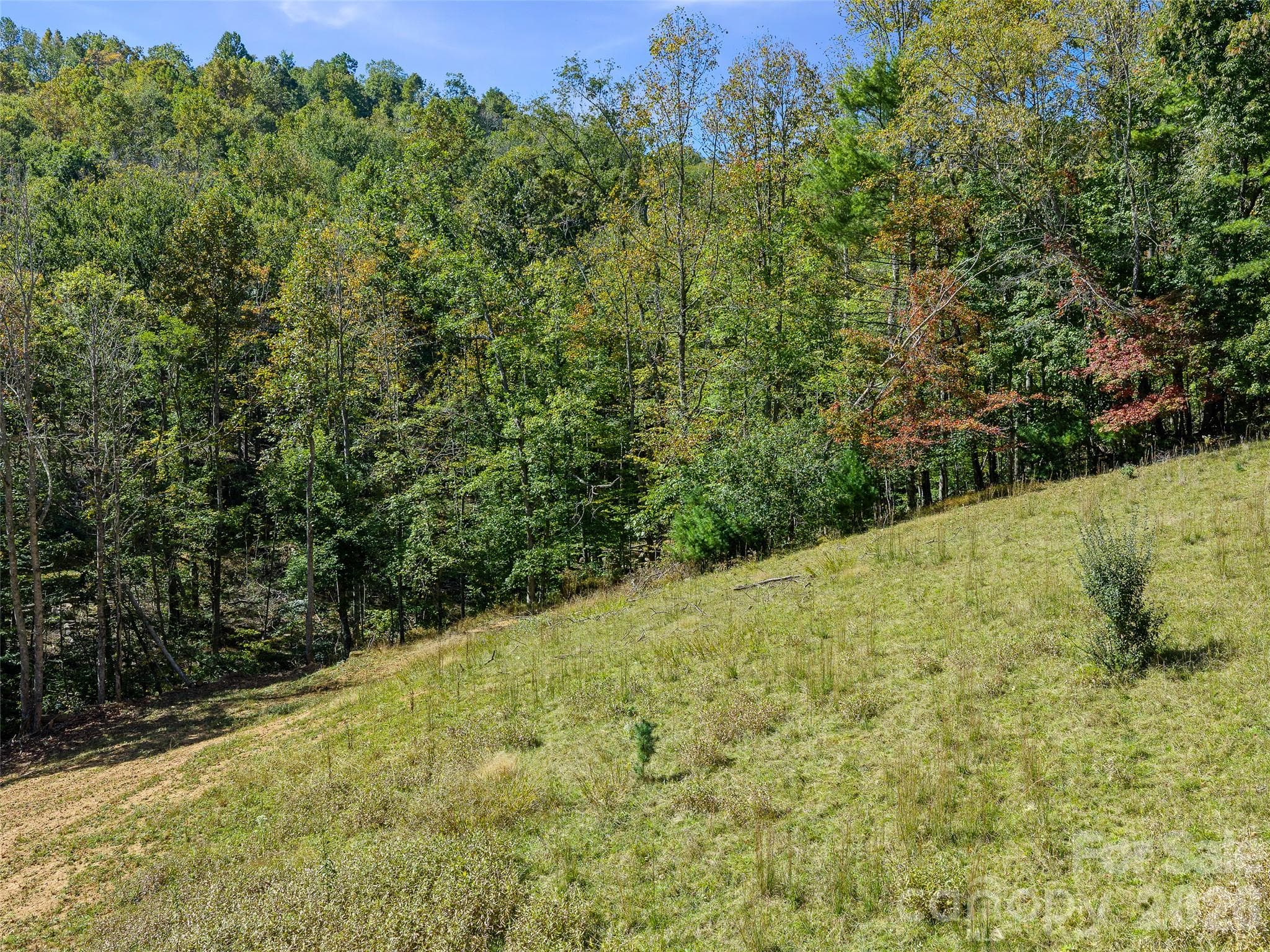 Acreage at 000 Double Island Road, Burnsville, photo 11 of 39