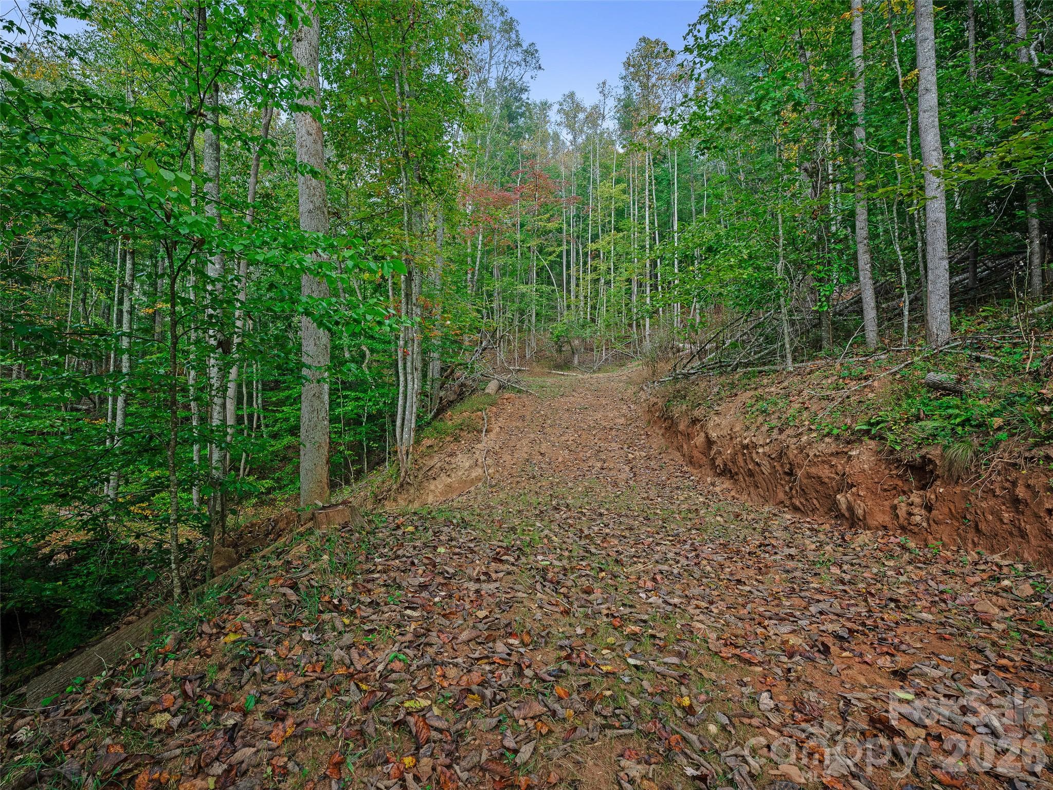 Acreage at 000 Double Island Road, Burnsville, photo 12 of 39