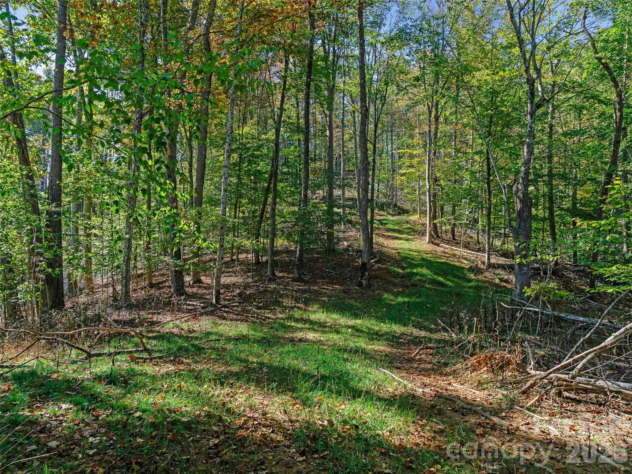 Acreage at 000 Double Island Road, Burnsville, photo 22 of 39