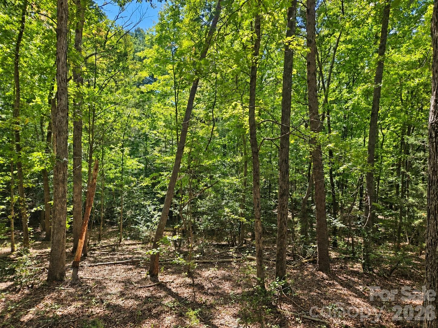 236 Sugar Loaf Road