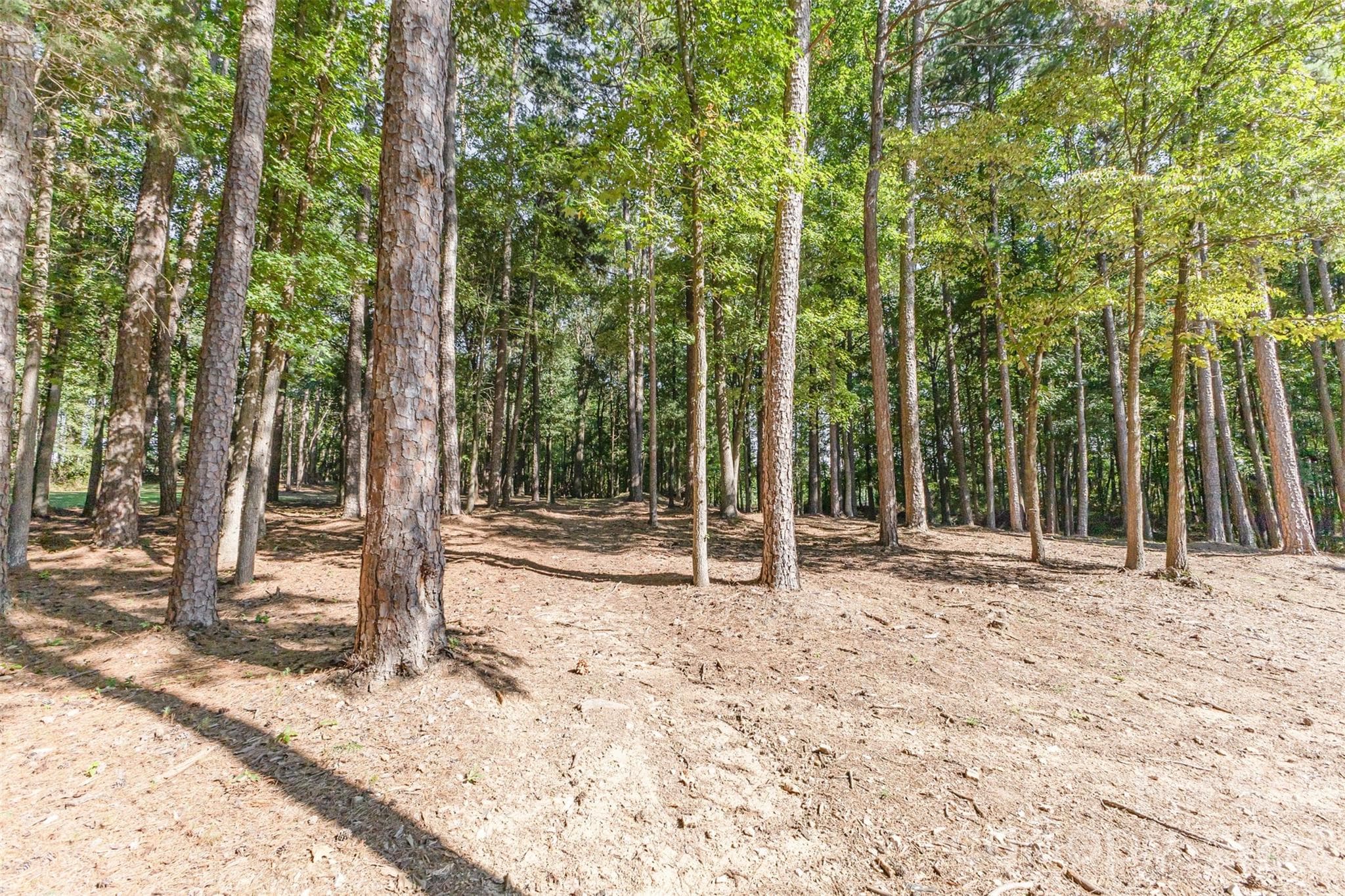 Wooded Estate - 15655 Highway 601 Highway, Midland