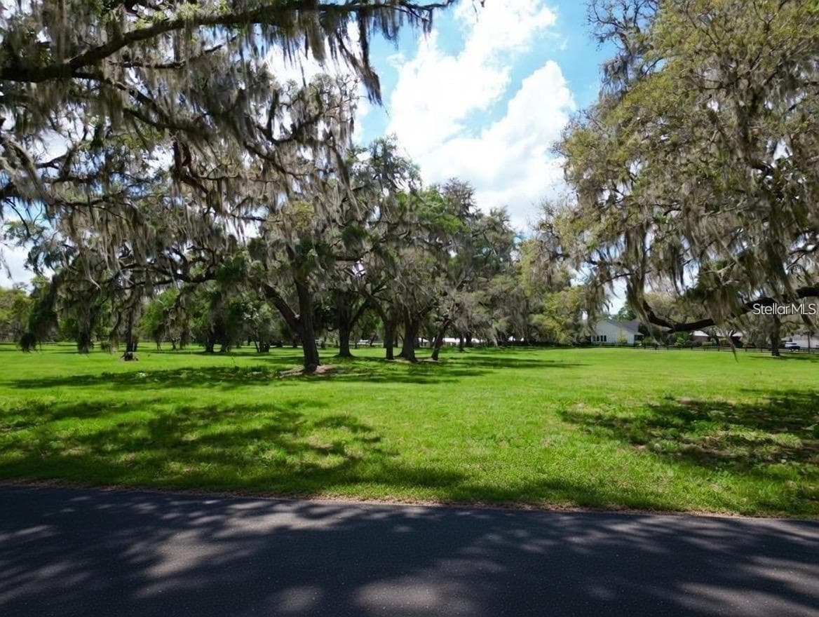 Land at 4 LOTS SE 115TH STREET, BELLEVIEW, photo 10 of 13