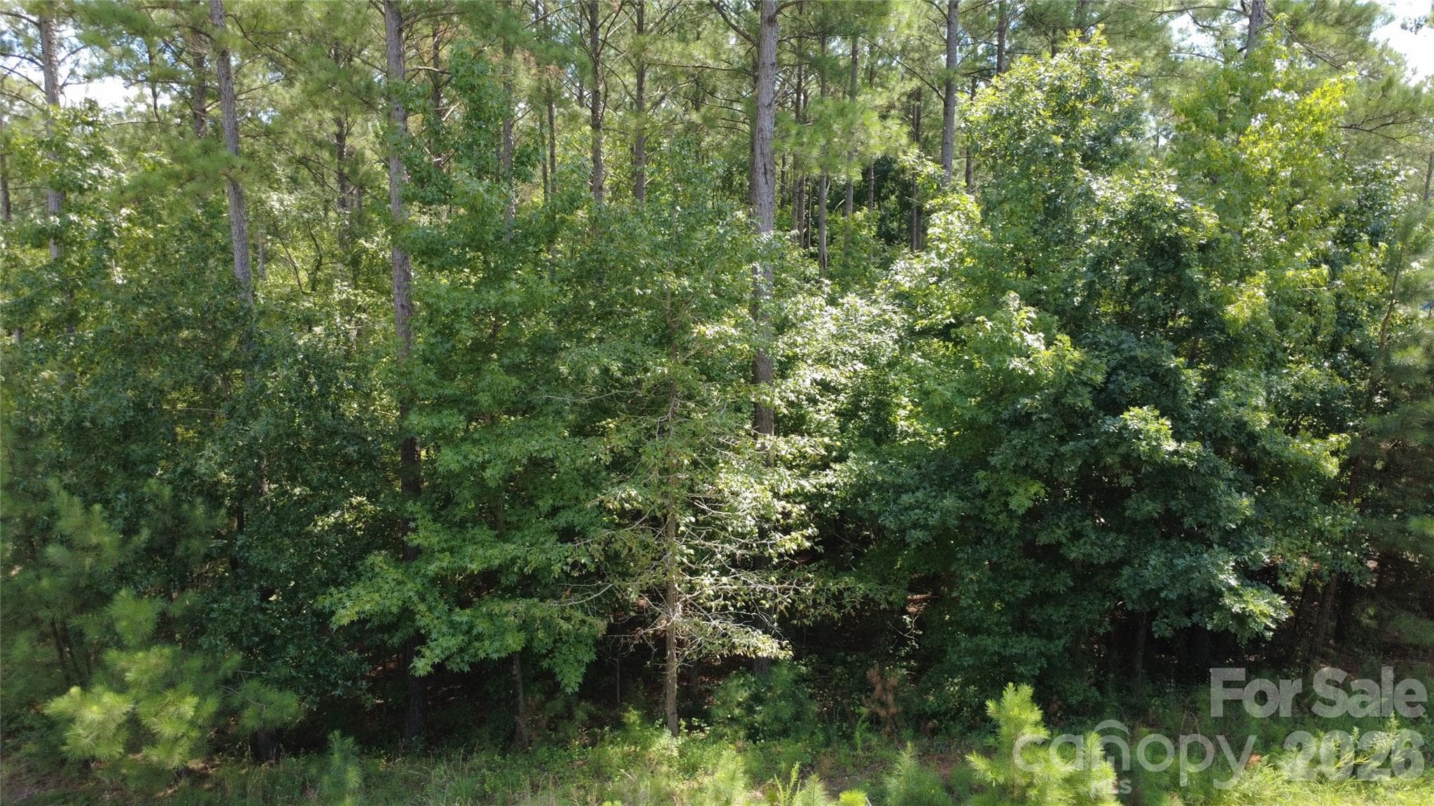 Lot at 4155 Persimmon Road, Lancaster, photo 6 of 20