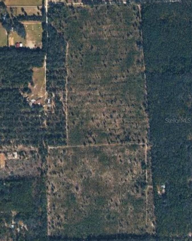 Land at Tbd NE 44TH AVE, HIGH SPRINGS, photo 3 of 3