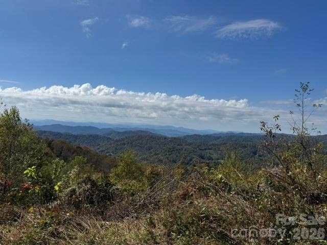 50 Scenic Wolf Ridge Road