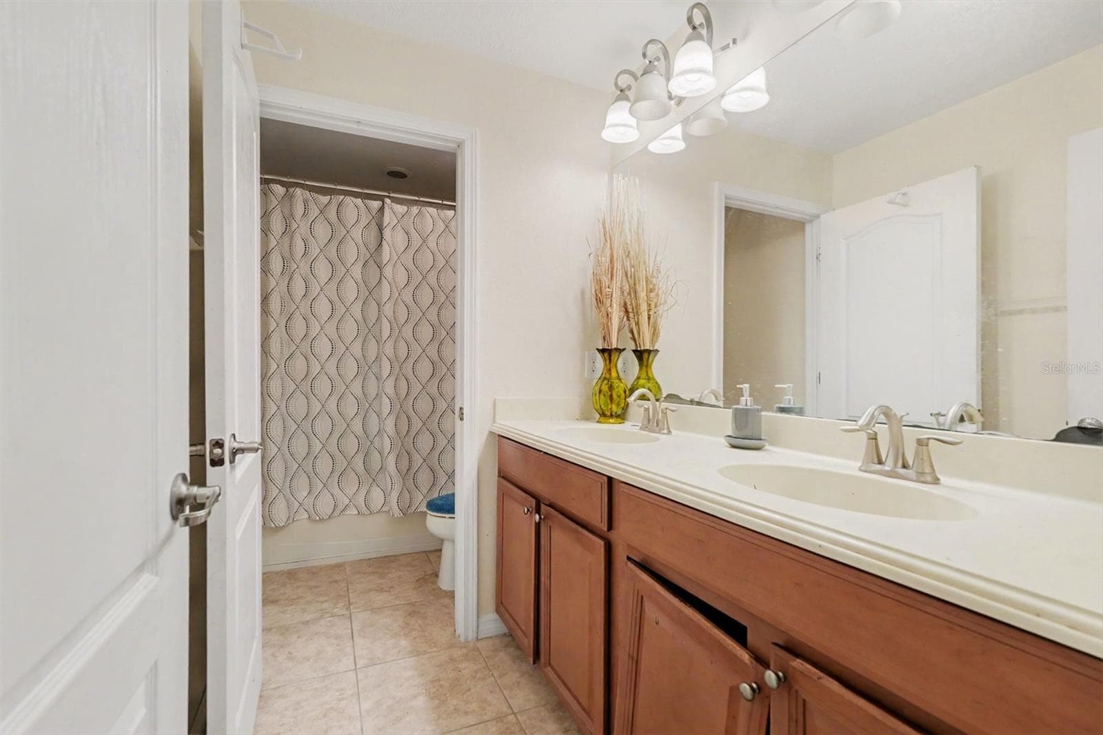 Single Family Residence at 20443 AUTUMN FERN AVE, TAMPA, photo 25 of 30