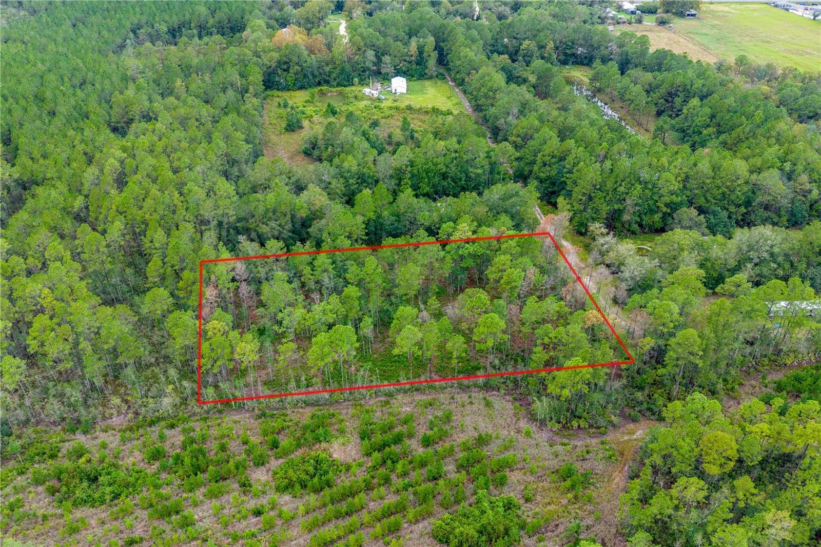 Land at 0 SE 125TH ST, STARKE, photo 3 of 19