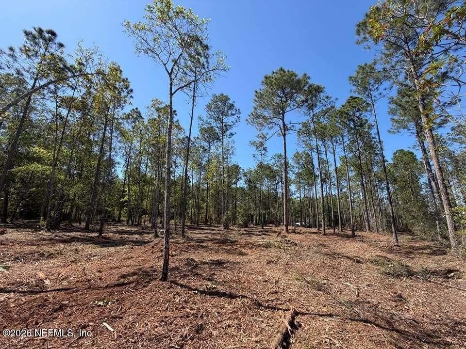 Land at 0 SE 125TH ST, STARKE, photo 12 of 19