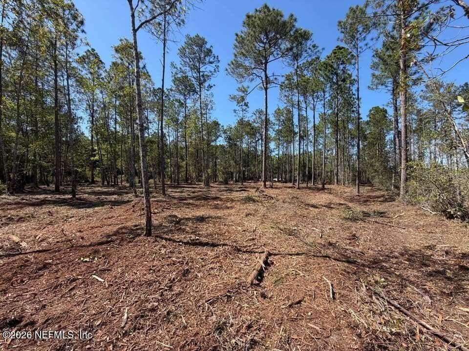 Land at 0 SE 125TH ST, STARKE, photo 13 of 19
