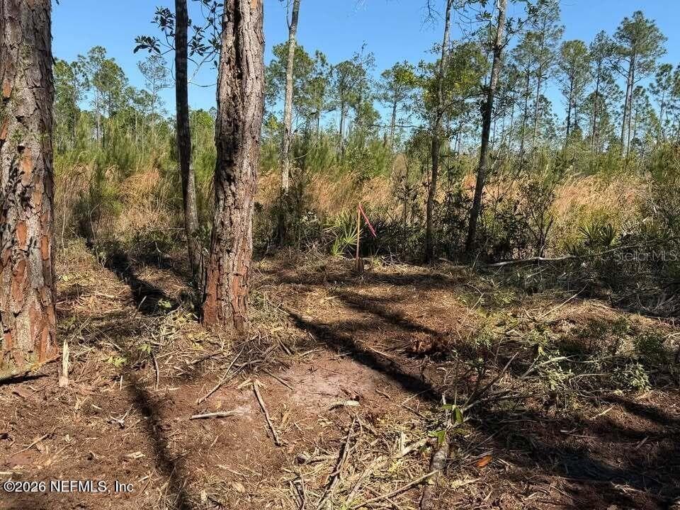 Land at 0 SE 125TH ST, STARKE, photo 14 of 19