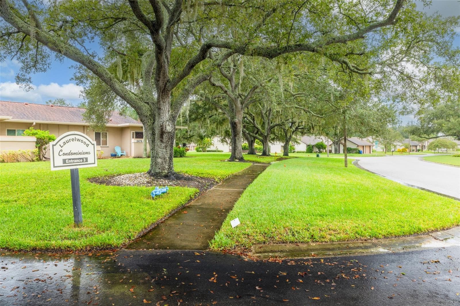 Sidewalk View - 2476 LAURELWOOD DR #C, CLEARWATER