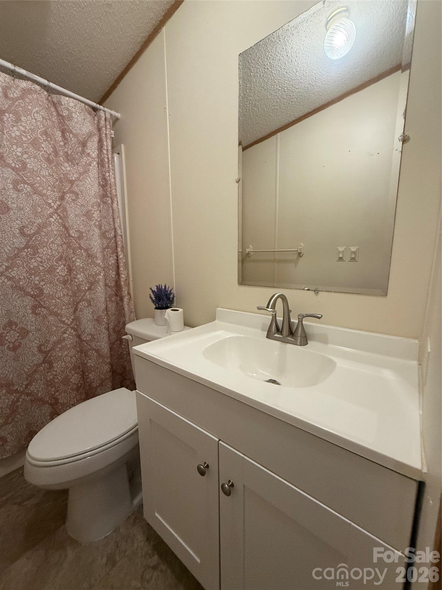 Guest bath vaniety - 97 Fair Haven Drive, Burnsville