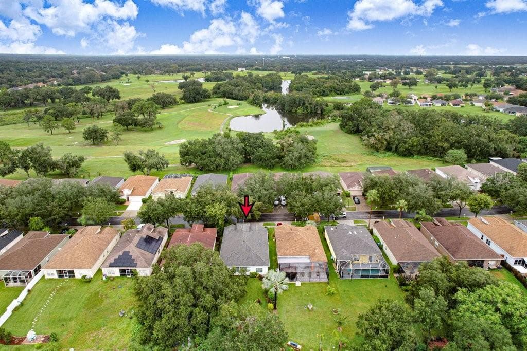 Quiet backyard - 1161 EMERALD HILL WAY, VALRICO