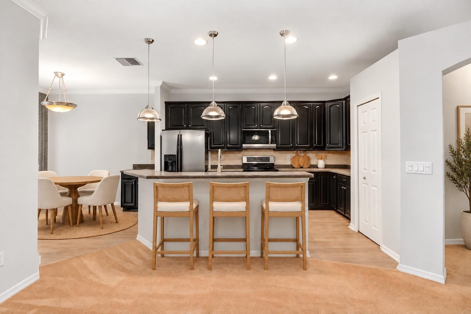 Kitchen - 1161 EMERALD HILL WAY, VALRICO