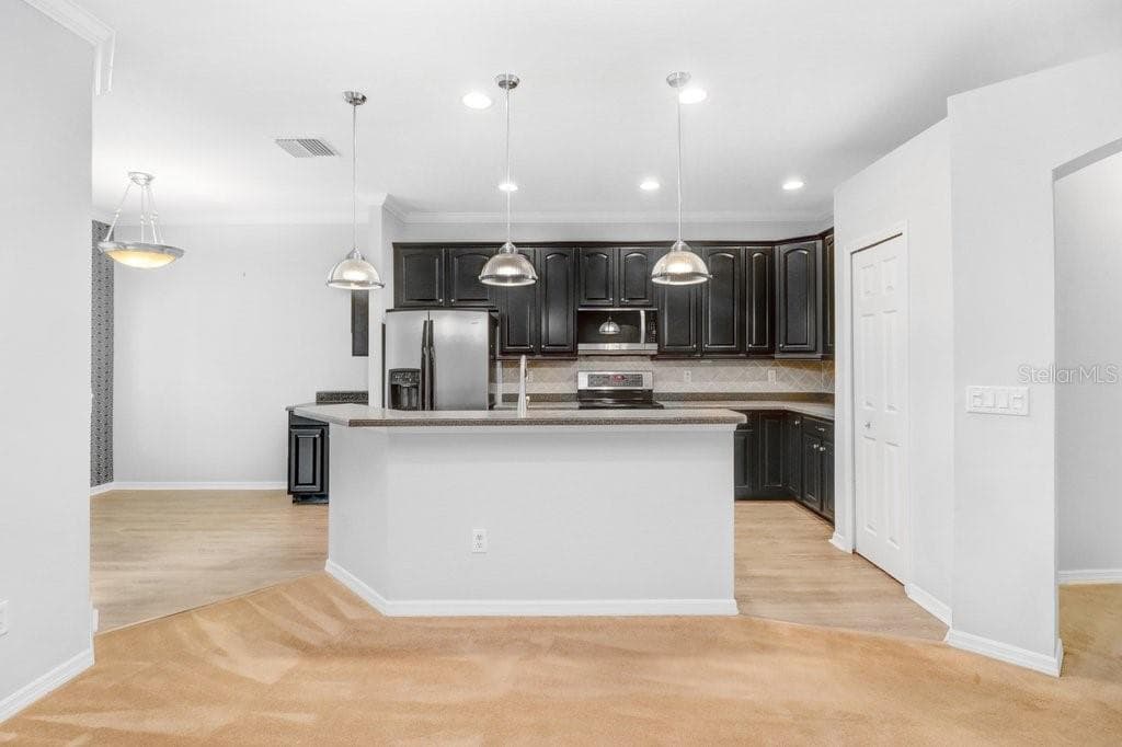 Single Family Residence at 1161 EMERALD HILL WAY, VALRICO, photo 55 of 79