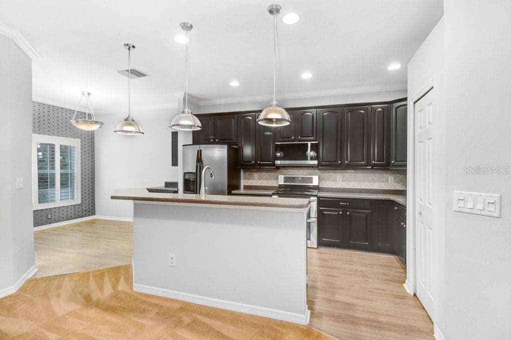 Single Family Residence at 1161 EMERALD HILL WAY, VALRICO, photo 56 of 79